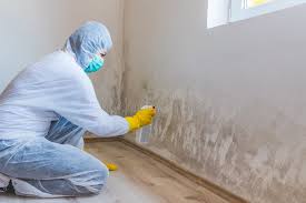 Best Water Damage & Mold Remediation  in Lincoln, AR