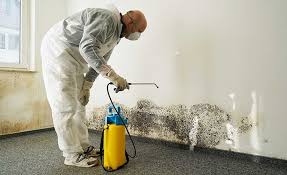 Best Mold Removal for HVAC Installations  in Lincoln, AR