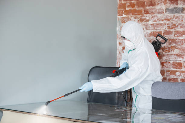 Lincoln, AR Mold Inspection Company