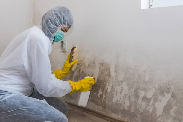 Mold Remediation for Rental Properties in Lincoln, AR